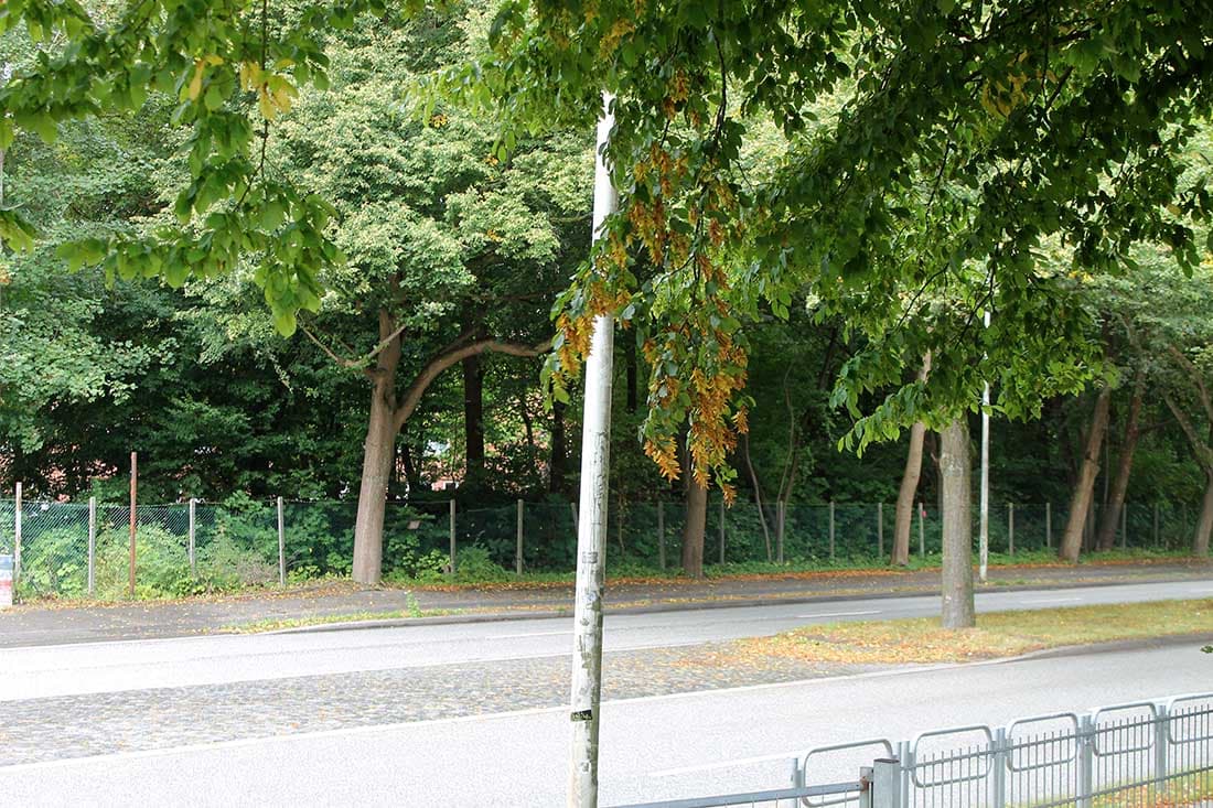 Lost Places Folge 8: Der Fußballplatz des 1. Kieler FV