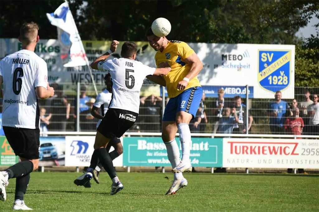 Kapitän Jonas Fedl (Meppen) gegen Morten Liebert (SV Todesfelde). © 2024 Olaf Wegerich